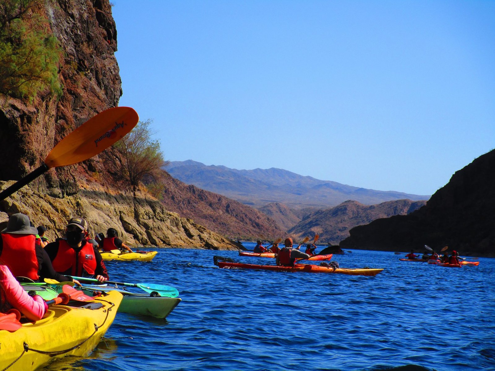 Read more about the article Kayaking and Canoeing Near Phoenix