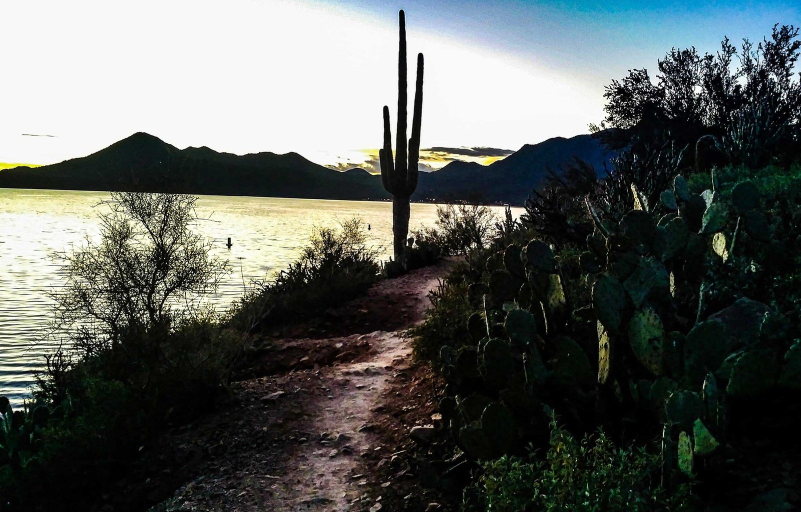 Saguaro Lake Boating | adventus club